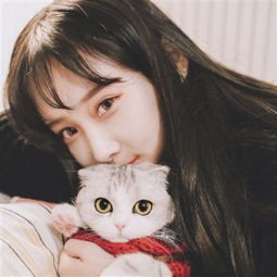 kok下载-登录入口