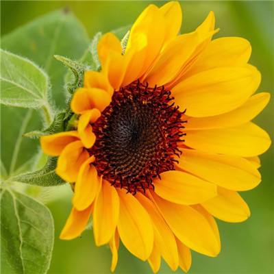 云开全站·appkaiyun截图