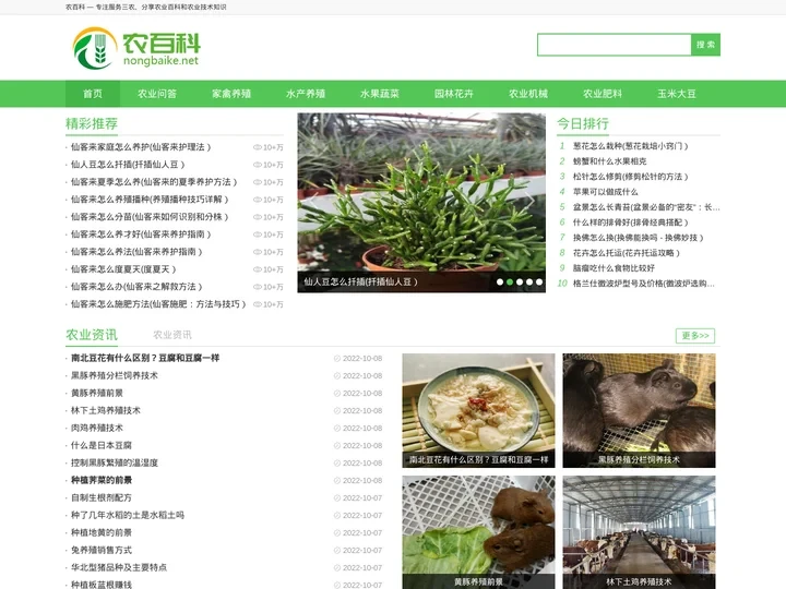 农百科-专注服务三农、分享农业百科和农业技术知识
