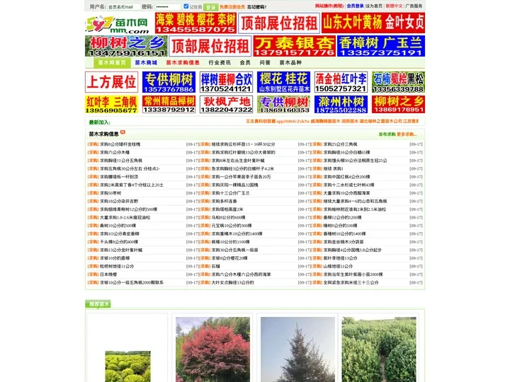 597苗木网|苗木求购信息_网上苗木app交易平台