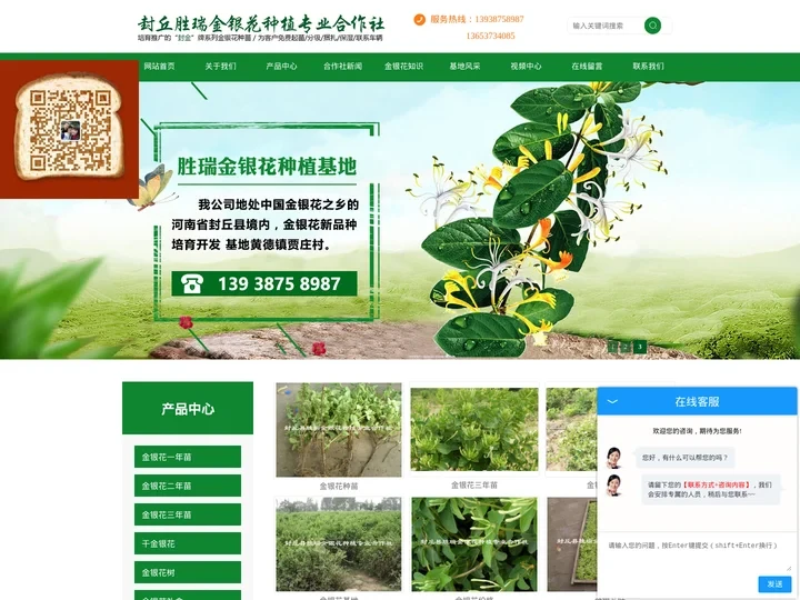 河南金银花苗_新乡金银花苗基地_封丘县胜瑞金银花种植合作社