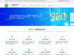 上海网站优化-上海seo优化-网站排名优化-seo关键词优化-网站关键词优化-搜索引擎优化-企业网站优化 - 上海网站优