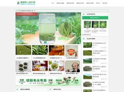 信阳毛尖价格-毛尖品牌排名-信阳毛尖茶叶网「半买半送」