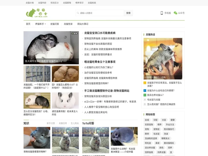 龙猫巴士 – 宠物龙猫主题网站|龙猫多少钱一只|龙猫好养吗