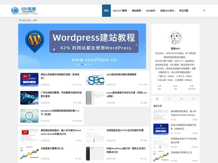 SEO教程零基础入门到高级-学习网站SEO技术知识_SEO视频网