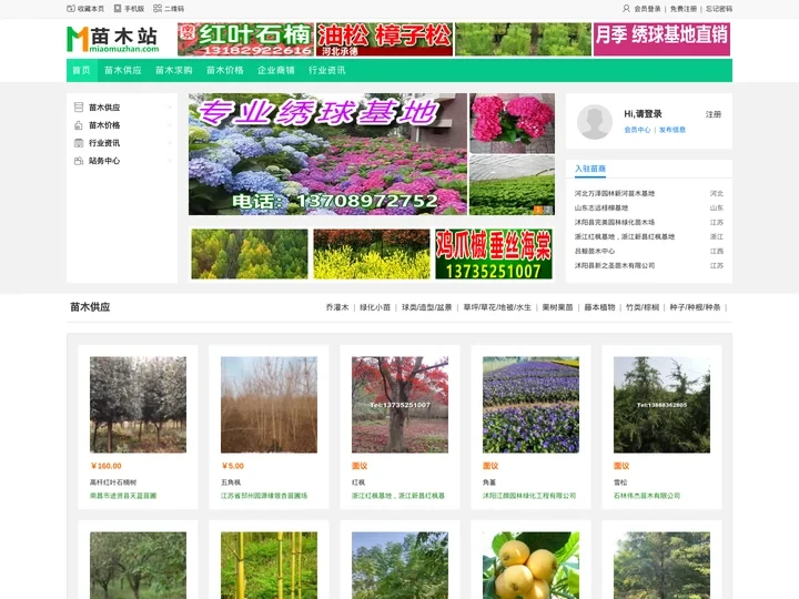 苗木站_苗木求购信息|苗木供应信息|绿化苗木价格_第一苗木站_专业苗木网站