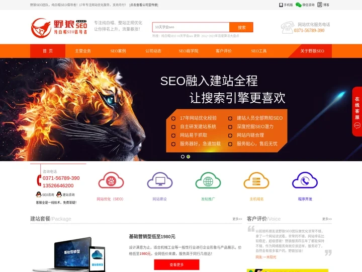 郑州seo公司-网站优化服务外包、快照排名推广-野狼SEO团队