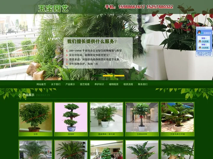 宁波花木出租_宁波租植物_宁波花卉租摆_宁波花草租赁-宁波玉宝园艺有限公司