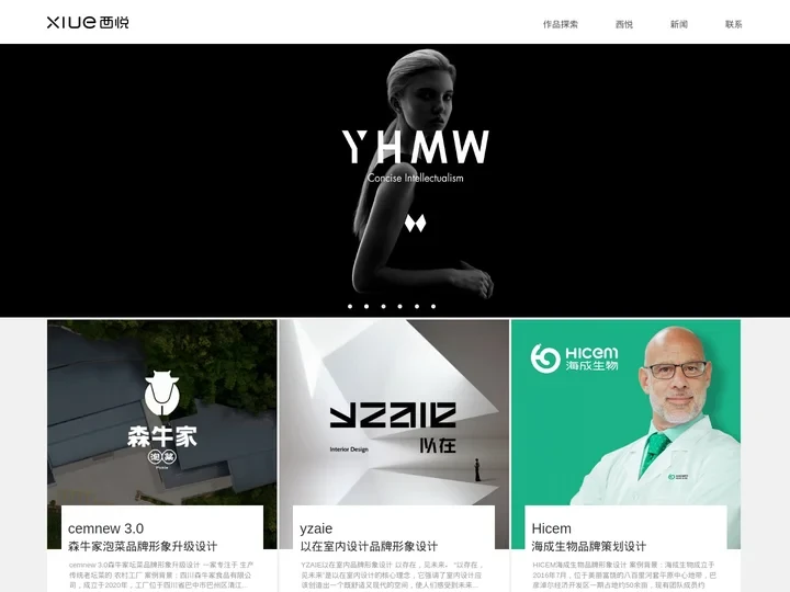 时尚化VI设计公司-品牌LOGO设计-企业标志设计－成都西悦品牌设计公司