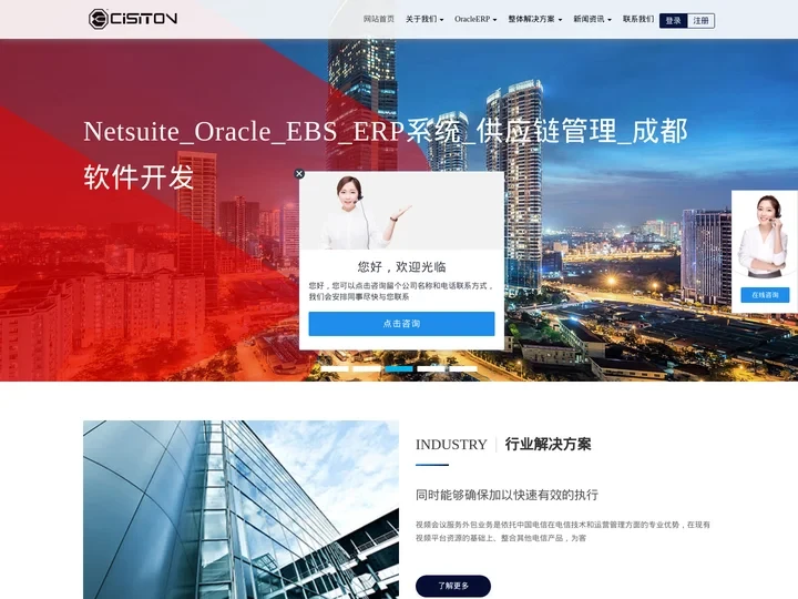 Netsuite_Oracle_EBS_ERP系统_供应链管理_成都软件开发