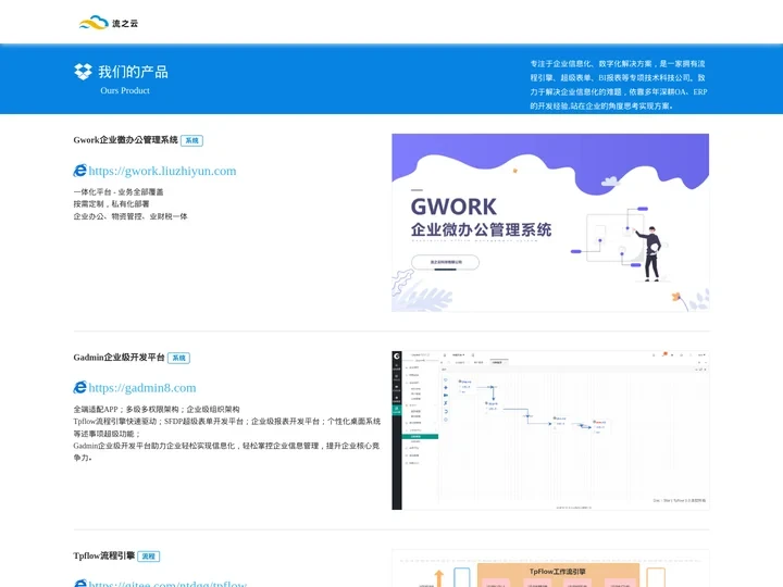 流之云 - 企业数字化解决方案厂商