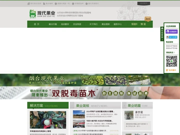 馨元萃,烟富8,苹果新品种,双脱毒矮化苹果苗//烟台现代果业