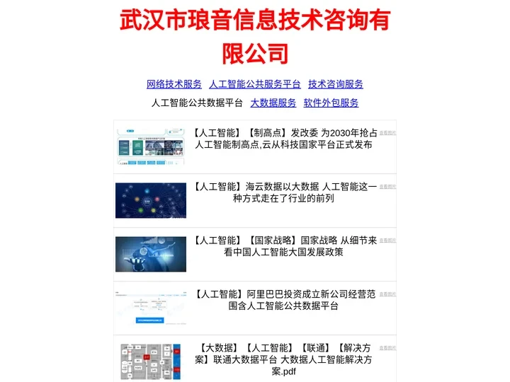 武汉市琅音信息技术咨询有限公司