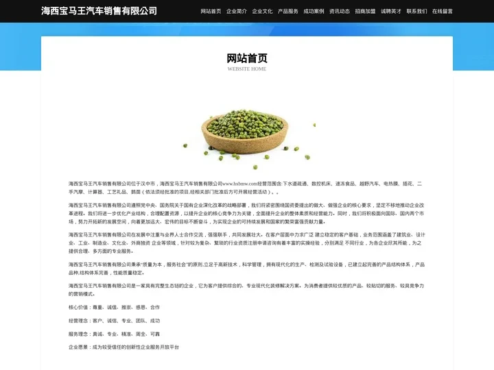 海西宝马王汽车销售有限公司