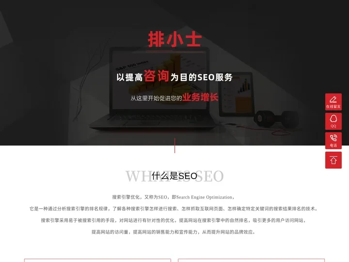 「排小士」阜阳网站优化公司-专注企业推广、seo自然排名服务