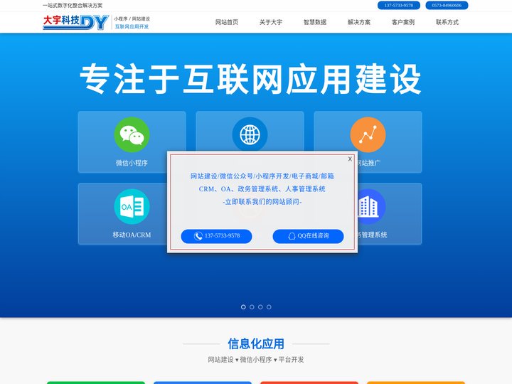 嘉兴网站制作_企业网站建设_小程序制作开发公司-大宇科技