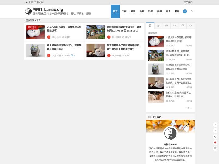 撸猫社Lumao.org | 猫咪兴趣社区_与您一起分享猫咪知识、图片、表情包、视频！