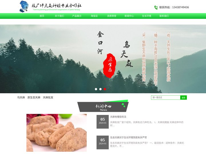 乌天麻,原生态天麻,天麻批发—乐山市金口河区板厂坪天麻种植专业合作社