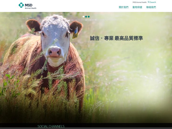 公司主頁 - MSD Animal Health Taiwan