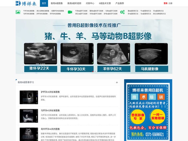 兽用B超图像_兽用B超机视频_动物B超机方法-博祥来兽用B超仪交流网