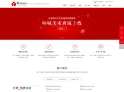 晴天SEO首页_seo快速排名「稳定」_网站建设推广_关键词整站优化