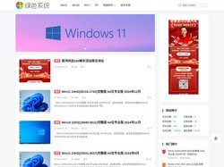 纯净系统_纯净版系统_win10纯净版_win7纯净版_win11纯净版下载_绿色系统