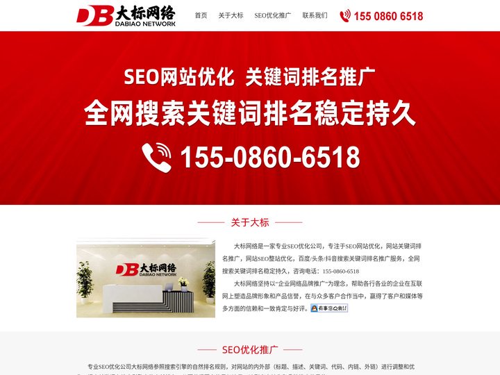 大标网络丨专业SEO优化公司-网站SEO优化-关键词排名推广