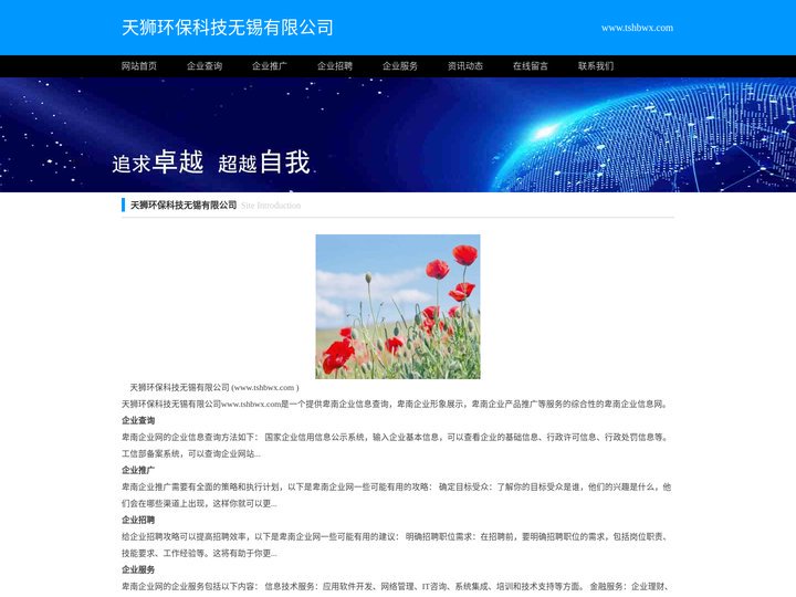 热洁炉厂家_碳化炉_脱漆剥漆炉-天狮环保科技无锡有限公司