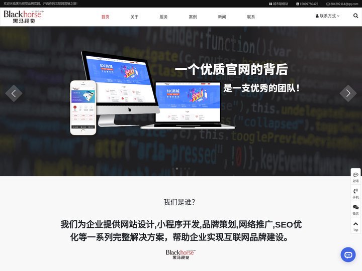 深圳网站建设_深圳网站制作_专业网页开发设计_黑马视觉网络公司