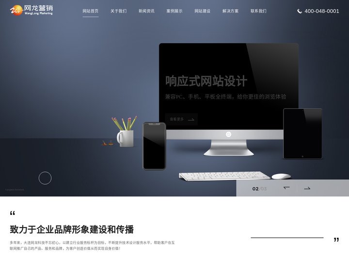 大连网站设计|大连网站制作|大连网页制作公司【做网站!选网龙】5891网