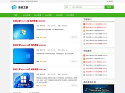 系统之家官网_最新Win11/Win10/Win7纯净版下载!