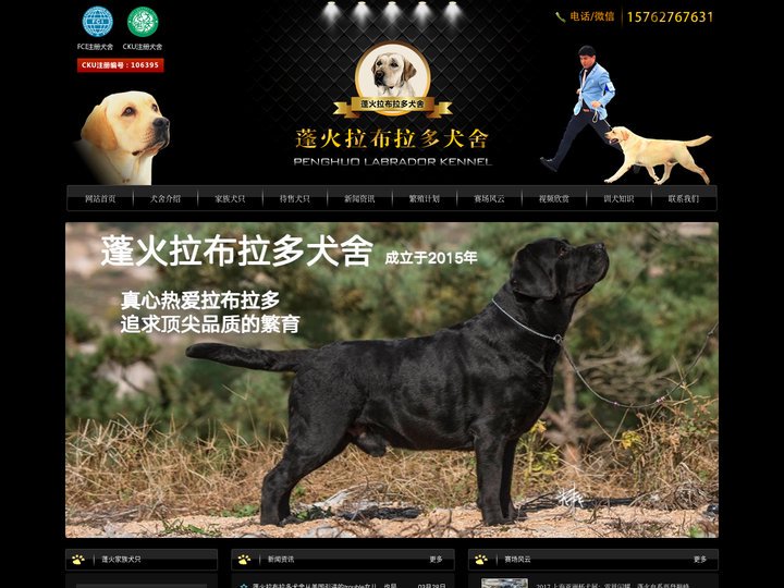 国内顶级拉布拉多犬舍,专业繁育拉布拉多犬舍 - 蓬火拉布拉多犬舍 - 蓬火拉布拉多犬舍