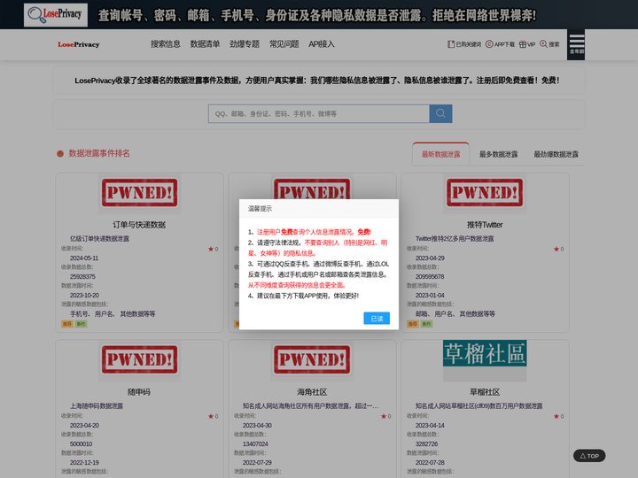 隐私搜索引擎 - LosePrivacy隐私查询器