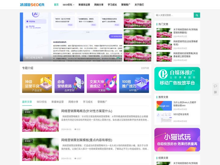 哈尔滨SEO_网站优化_网络推广_营销排名获客分享_冰城SEOER_冰城SEOER