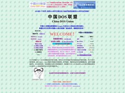 中 国 DOS 联 盟