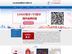 白山logo设计_vi设计_标志设计 - 白山金安品牌设计有限公司