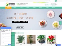 杭州办公室花卉租摆-杭州办公室植物租赁-花卉租赁-杭州绿诺园艺有限公司