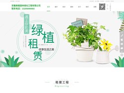 安徽合肥美植绿化工程有限公司--专业的租赁公司--13205696883