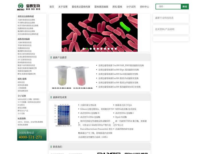 宝赛质粒菌株公司