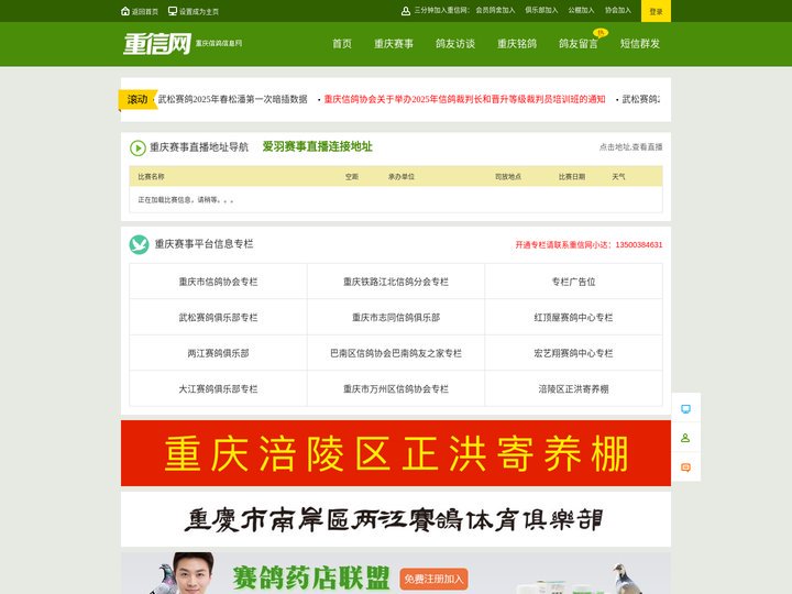 重庆信鸽信息网-首页